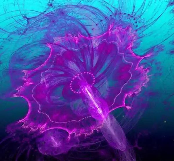 ˮĸͺˮһ